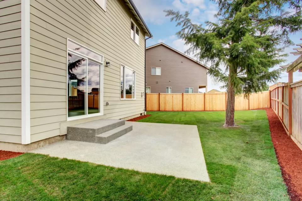 Back Yard